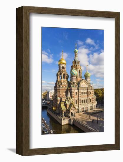 Domes of Church of the Saviour on Spilled Blood, Saint Petersburg, Russia-Gavin Hellier-Framed Photographic Print