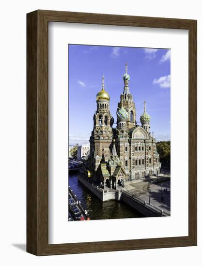 Domes of Church of the Saviour on Spilled Blood, St. Petersburg, Russia-Gavin Hellier-Framed Photographic Print