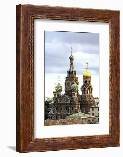 Domes of Church of the Saviour on Spilled Blood, St. Petersburg, Russia-Gavin Hellier-Framed Photographic Print