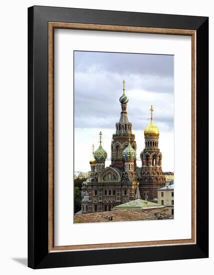 Domes of Church of the Saviour on Spilled Blood, St. Petersburg, Russia-Gavin Hellier-Framed Photographic Print