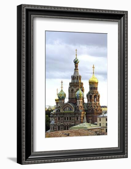 Domes of Church of the Saviour on Spilled Blood, St. Petersburg, Russia-Gavin Hellier-Framed Photographic Print