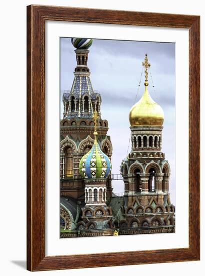 Domes of Church of the Saviour on Spilled Blood, UNESCO World Heritage Site, St. Petersburg, Russia-Gavin Hellier-Framed Photographic Print