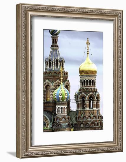 Domes of Church of the Saviour on Spilled Blood, UNESCO World Heritage Site, St. Petersburg, Russia-Gavin Hellier-Framed Photographic Print