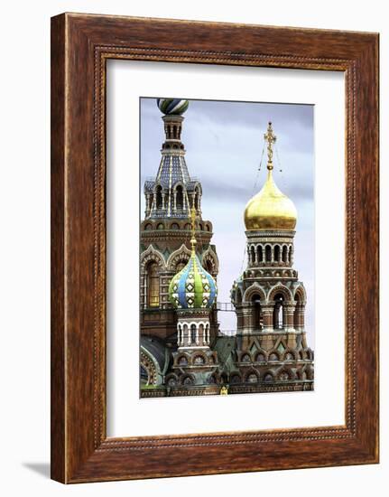 Domes of Church of the Saviour on Spilled Blood, UNESCO World Heritage Site, St. Petersburg, Russia-Gavin Hellier-Framed Photographic Print