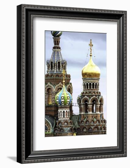 Domes of Church of the Saviour on Spilled Blood, UNESCO World Heritage Site, St. Petersburg, Russia-Gavin Hellier-Framed Photographic Print