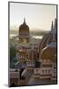 Domes of Deogarh Mahal Palace Hotel at Dawn, Deogarh, Rajasthan, India, Asia-Martin Child-Mounted Photographic Print