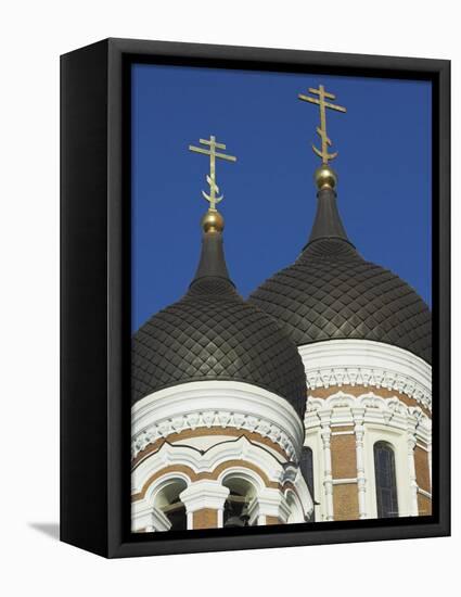 Domes of the Alexander Nevsky Cathedral, Russian Orthodox Church, Toompea Hill, Tallinn, Estonia-Neale Clarke-Framed Premier Image Canvas