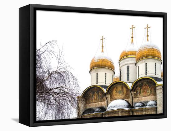 Domes of the Assumption Cathedral in Kremlin, Moscow, Russia-Nadia Isakova-Framed Premier Image Canvas