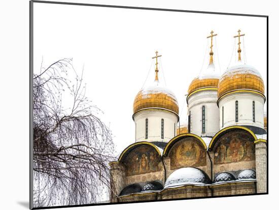 Domes of the Assumption Cathedral in Kremlin, Moscow, Russia-Nadia Isakova-Mounted Photographic Print