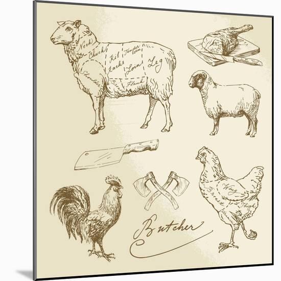 Domestic Animal Meat Diagrams - Hand Drawn Collection-canicula-Mounted Art Print