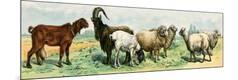Giclee Print