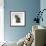 Domestic Cat, 10-Week, Grey Tabby Persian-Cross Kitten-Jane Burton-Framed Photographic Print displayed on a wall