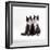 Domestic Cat, 12-Week Identical Brothers, Black-And-White Kittens-Jane Burton-Framed Photographic Print