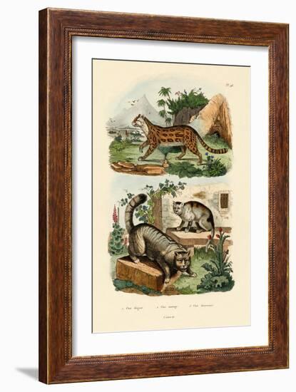 Domestic Cat, 1833-39-null-Framed Giclee Print