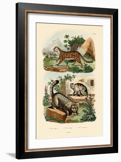 Domestic Cat, 1833-39-null-Framed Giclee Print