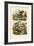 Domestic Cat, 1833-39-null-Framed Giclee Print