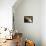 Domestic Cat, 2-Week Tabby and White Kitten Plays with Her Mother's Whiskers in Basket-Jane Burton-Framed Premier Image Canvas displayed on a wall