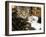 Domestic Cat, 2-Week Tabby and White Kitten Plays with Her Mother's Whiskers in Basket-Jane Burton-Framed Photographic Print