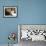 Domestic Cat, 2-Week Tabby and White Kitten Plays with Her Mother's Whiskers in Basket-Jane Burton-Framed Photographic Print displayed on a wall