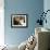 Domestic Cat, 2-Week Tabby and White Kitten Plays with Her Mother's Whiskers in Basket-Jane Burton-Framed Photographic Print displayed on a wall