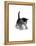 Domestic Cat, 3-Week Ticked-Tabby Kitten-Jane Burton-Framed Premier Image Canvas