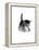 Domestic Cat, 3-Week Ticked-Tabby Kitten-Jane Burton-Framed Premier Image Canvas