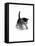 Domestic Cat, 3-Week Ticked-Tabby Kitten-Jane Burton-Framed Premier Image Canvas