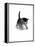 Domestic Cat, 3-Week Ticked-Tabby Kitten-Jane Burton-Framed Premier Image Canvas