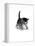 Domestic Cat, 3-Week Ticked-Tabby Kitten-Jane Burton-Framed Premier Image Canvas