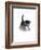 Domestic Cat, 3-Week Ticked-Tabby Kitten-Jane Burton-Framed Photographic Print