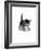 Domestic Cat, 3-Week Ticked-Tabby Kitten-Jane Burton-Framed Photographic Print