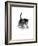 Domestic Cat, 3-Week Ticked-Tabby Kitten-Jane Burton-Framed Photographic Print
