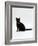 Domestic Cat, 4-Month Black Female Wearing Collar and Tag-Jane Burton-Framed Photographic Print