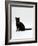 Domestic Cat, 4-Month Black Female Wearing Collar and Tag-Jane Burton-Framed Photographic Print