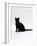 Domestic Cat, 4-Month Black Female Wearing Collar and Tag-Jane Burton-Framed Photographic Print