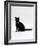 Domestic Cat, 4-Month Black Female Wearing Collar and Tag-Jane Burton-Framed Photographic Print