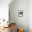 Domestic Cat, 6-Month, Black-And-White Semi-Longhaired Female Cat Lying on Floor-Jane Burton-Framed Premier Image Canvas displayed on a wall