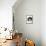 Domestic Cat, 6-Month, Black-And-White Semi-Longhaired Female Cat Lying on Floor-Jane Burton-Framed Premier Image Canvas displayed on a wall