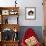 Domestic Cat, 6-Month, Black-And-White Semi-Longhaired Female Cat Lying on Floor-Jane Burton-Framed Photographic Print displayed on a wall