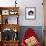 Domestic Cat, 6-Month, Black-And-White Semi-Longhaired Female Cat Lying on Floor-Jane Burton-Framed Photographic Print displayed on a wall