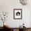 Domestic Cat, 6-Month, Black-And-White Semi-Longhaired Female Cat Lying on Floor-Jane Burton-Framed Photographic Print displayed on a wall