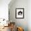 Domestic Cat, 6-Month, Black-And-White Semi-Longhaired Female Cat Lying on Floor-Jane Burton-Framed Photographic Print displayed on a wall