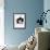 Domestic Cat, 6-Month, Black-And-White Semi-Longhaired Female Cat Lying on Floor-Jane Burton-Framed Photographic Print displayed on a wall