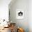 Domestic Cat, 6-Month, Black-And-White Semi-Longhaired Female Cat Lying on Floor-Jane Burton-Framed Photographic Print displayed on a wall