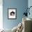 Domestic Cat, 6-Month, Black-And-White Semi-Longhaired Female Cat Lying on Floor-Jane Burton-Framed Photographic Print displayed on a wall