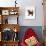 Domestic Cat, 6-Week Tabby Chinchilla Crossed with British Shorthair Kitten-Jane Burton-Photographic Print displayed on a wall