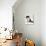 Domestic Cat, 8-Week, Black Bicolour Persian Kitten-Jane Burton-Photographic Print displayed on a wall