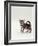 Domestic Cat, 8-Week, Silver Tortoiseshell Kitten-Jane Burton-Framed Photographic Print