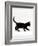 Domestic Cat, 9-Week Black Kitten Profile Walking-Jane Burton-Framed Photographic Print