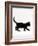 Domestic Cat, 9-Week Black Kitten Profile Walking-Jane Burton-Framed Photographic Print